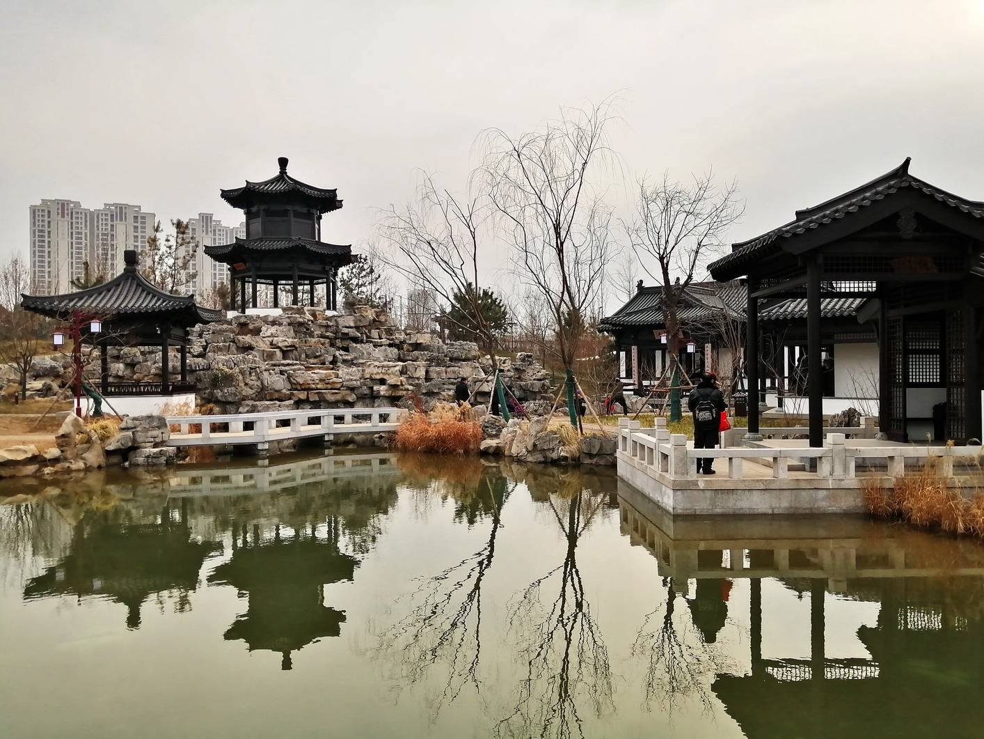 郑州苏园公园图片