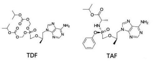 科普|乙肝新药富马酸丙酚替诺福韦（TAF）—网友：“这是最全的科普版本”