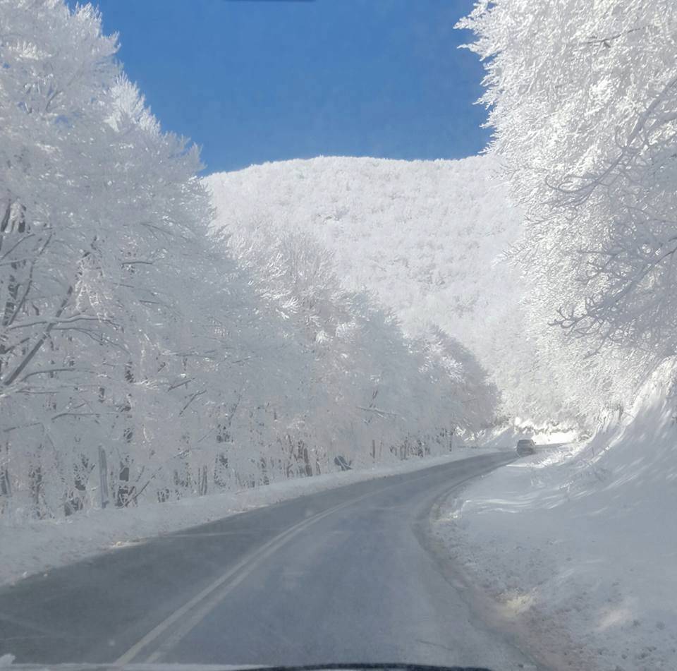 拜登|残酷的雪景，惨兮兮的美感