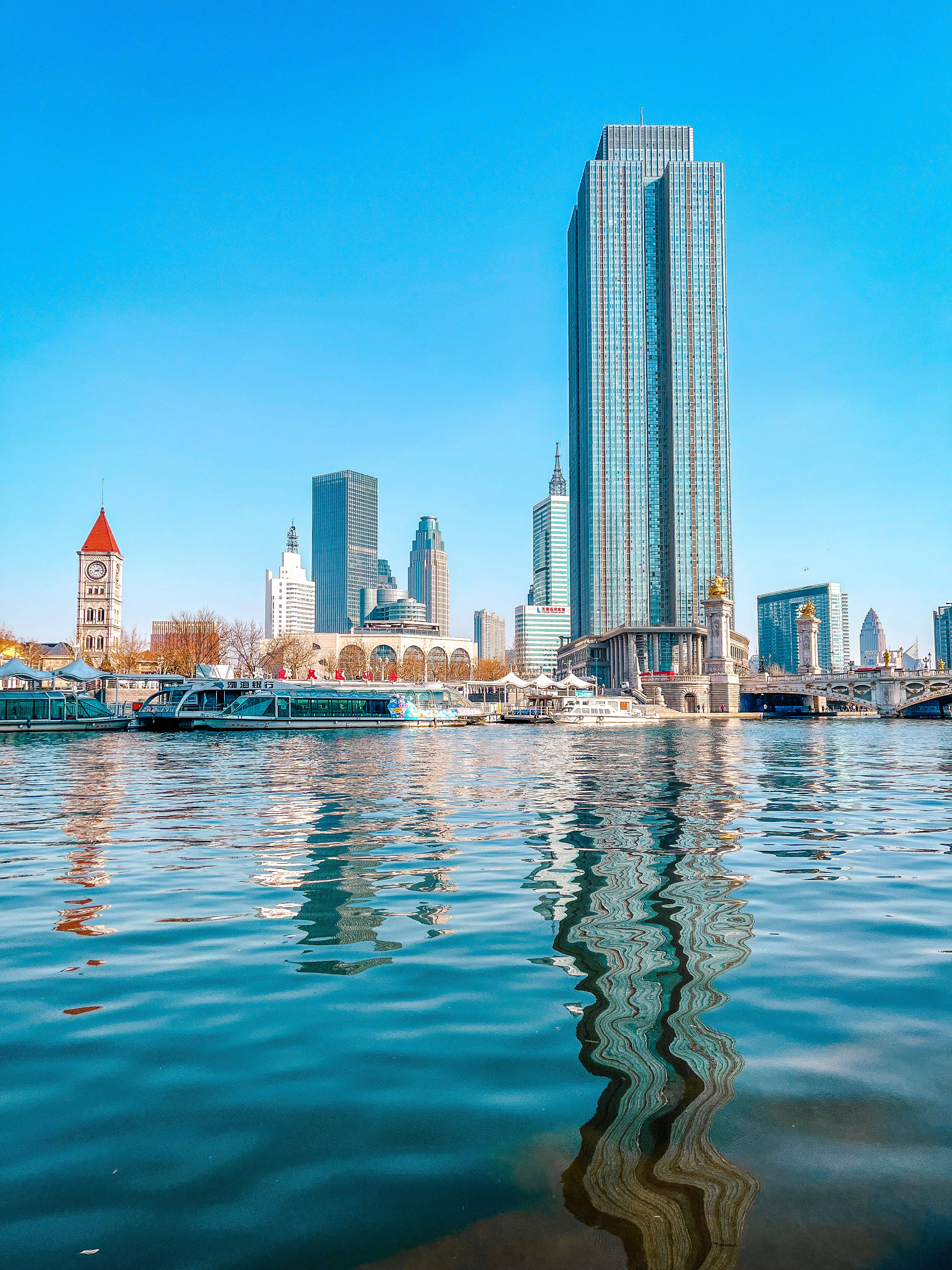 原创天津恢复跨省旅游海河边成群的海鸥吸引了广大摄影爱好者前来