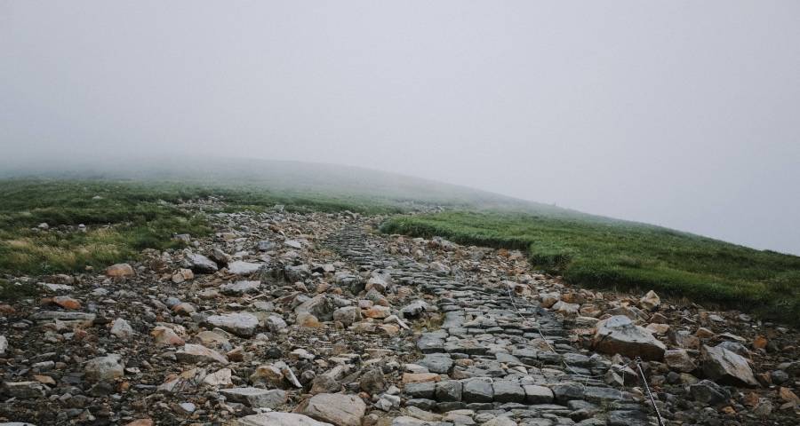 京东天猫等家电下沉渠道门店开始清理-家电圈官网