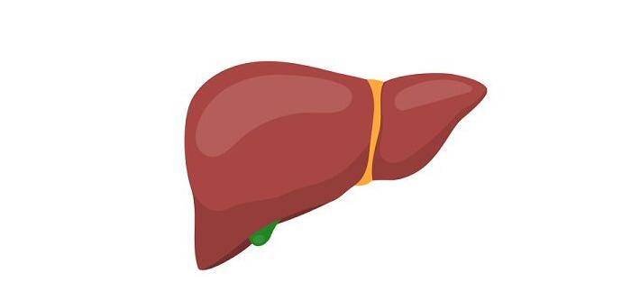肝脏|身体有这3种情况，肝脏或已经“奄奄一息”，若占其一，赶紧去做肝CT