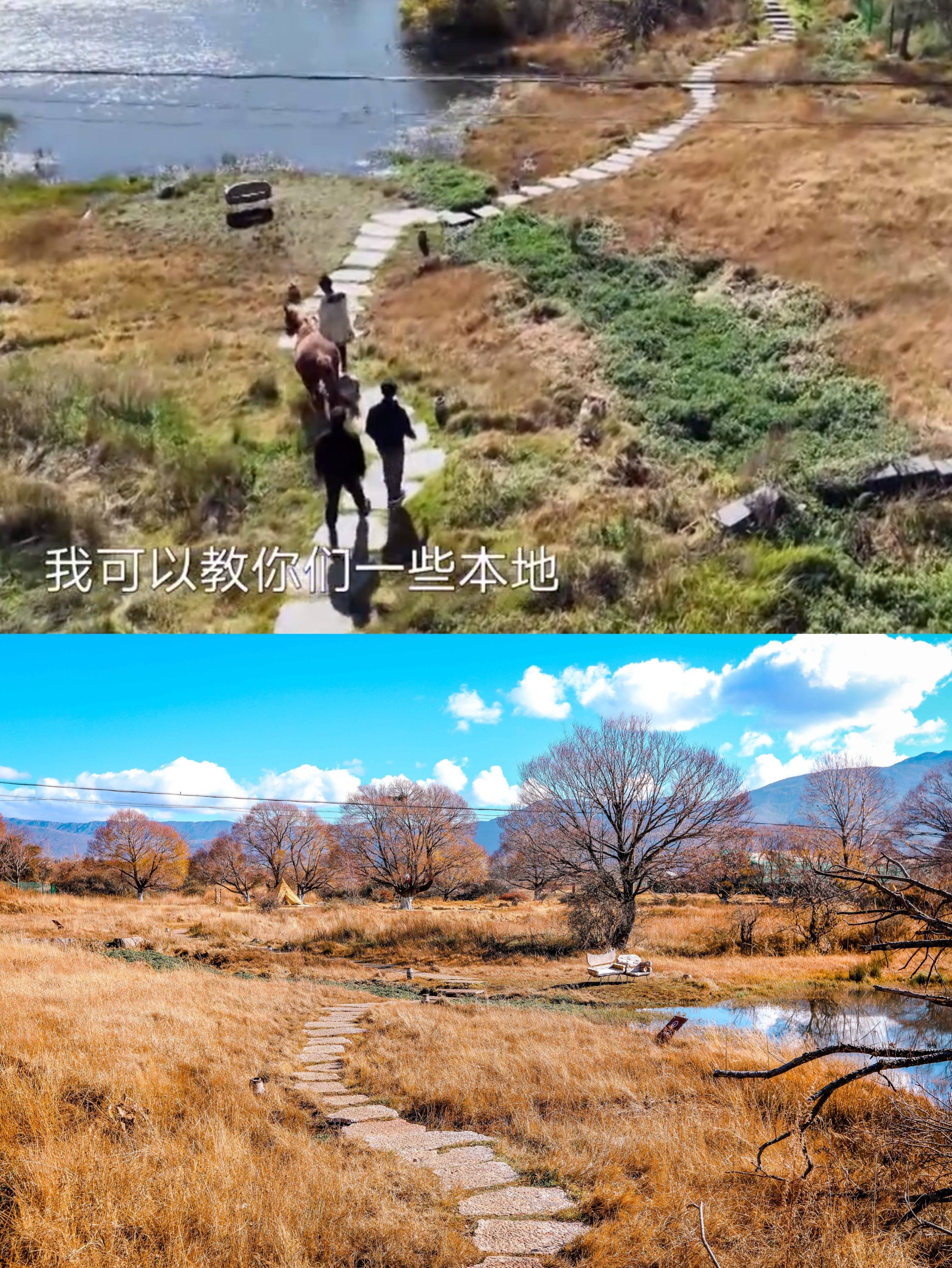 景点|丽江雪山脚下的小众景点，还是《一路唱响》拍摄地，至今免费开放