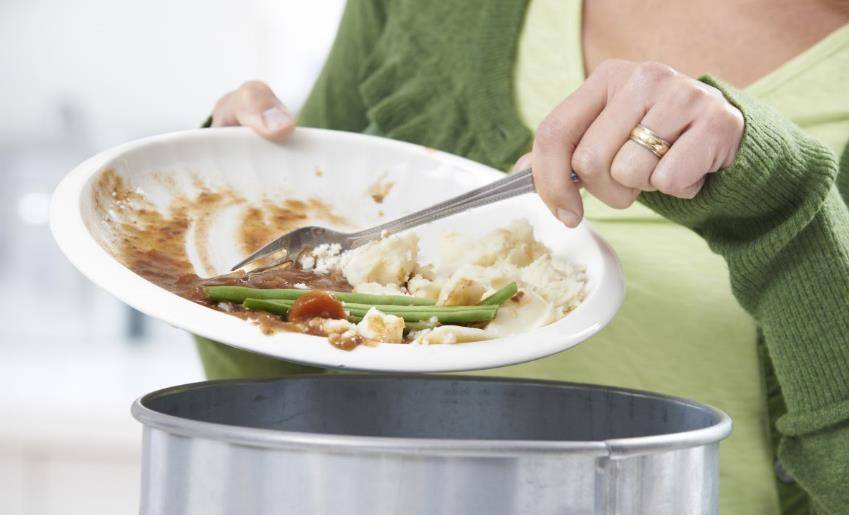 科学处理剩饭剩菜 正确认识亚硝酸盐_冷藏_饭菜_含量