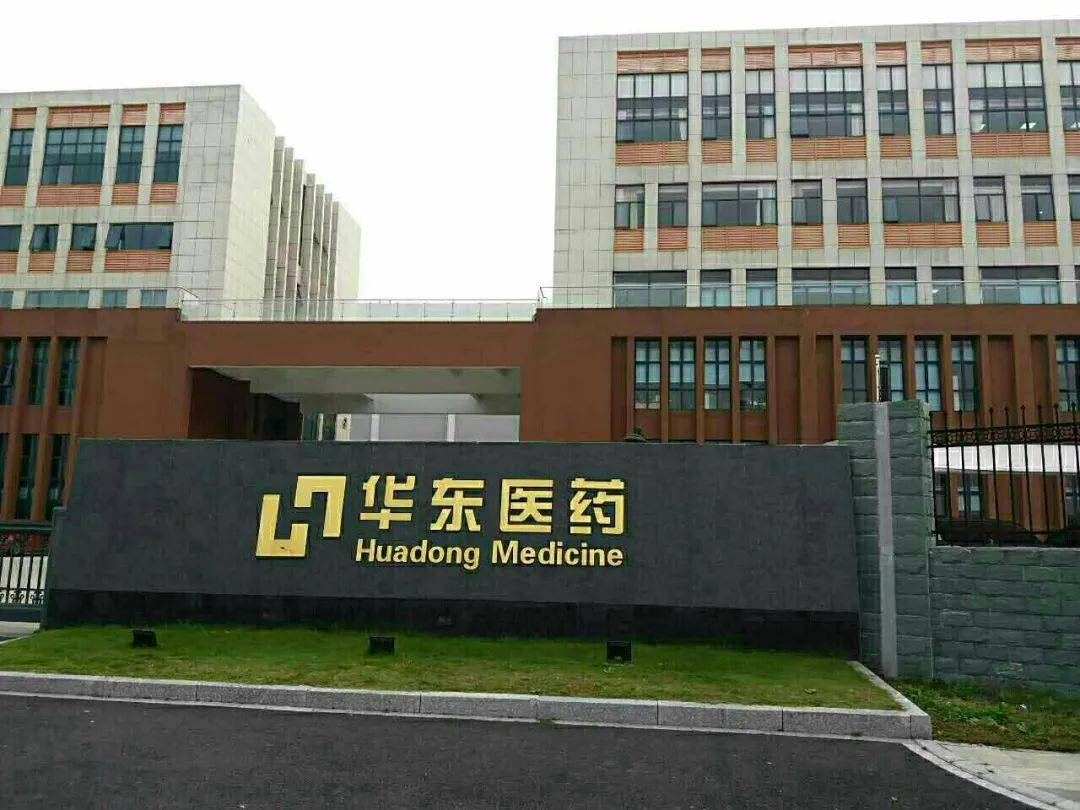之一的华东医药股份有限公司完善医药全产业链的战略布局中的重要项目
