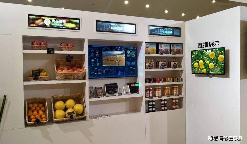 网站|摄像头监控视频直播发布系统需求分析