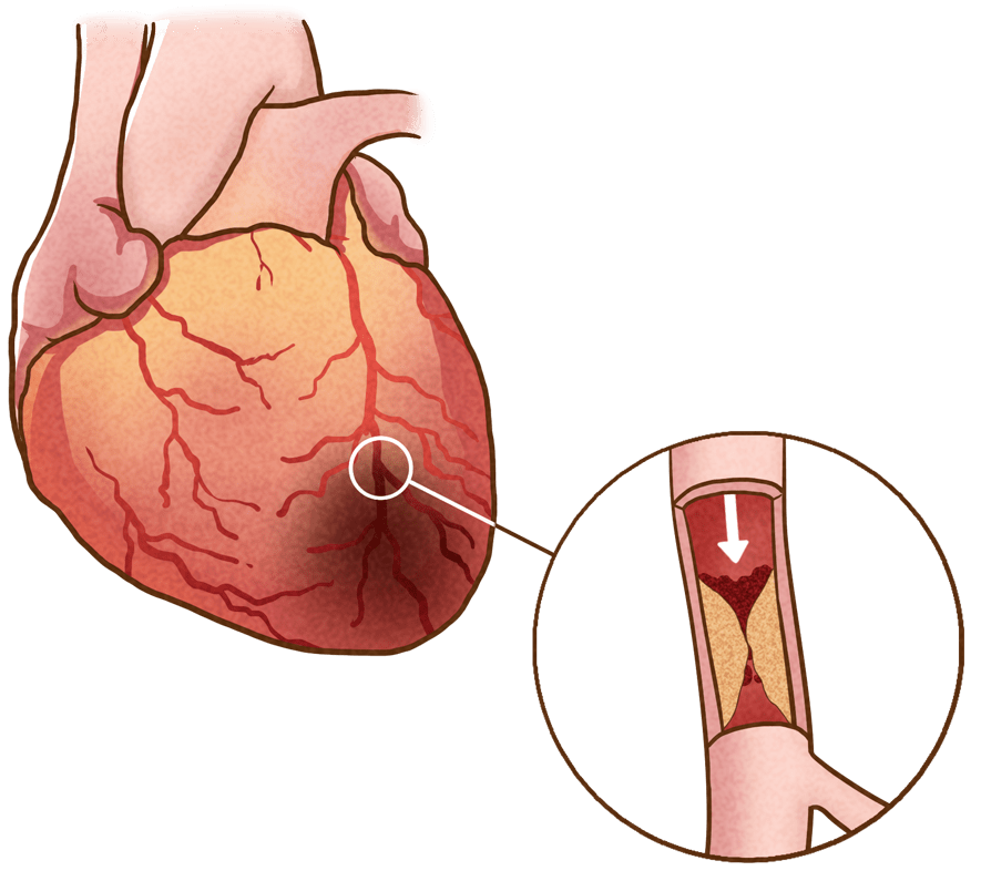 21306edcb19841928a8c451b61573ef6.png