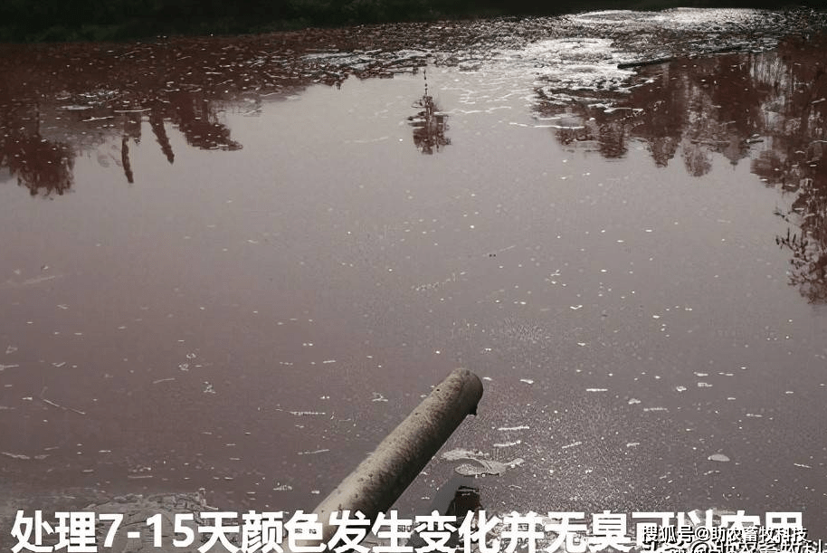 沼液直接施肥危害大短时间快速发酵除臭变成高质量液态生物菌肥操作