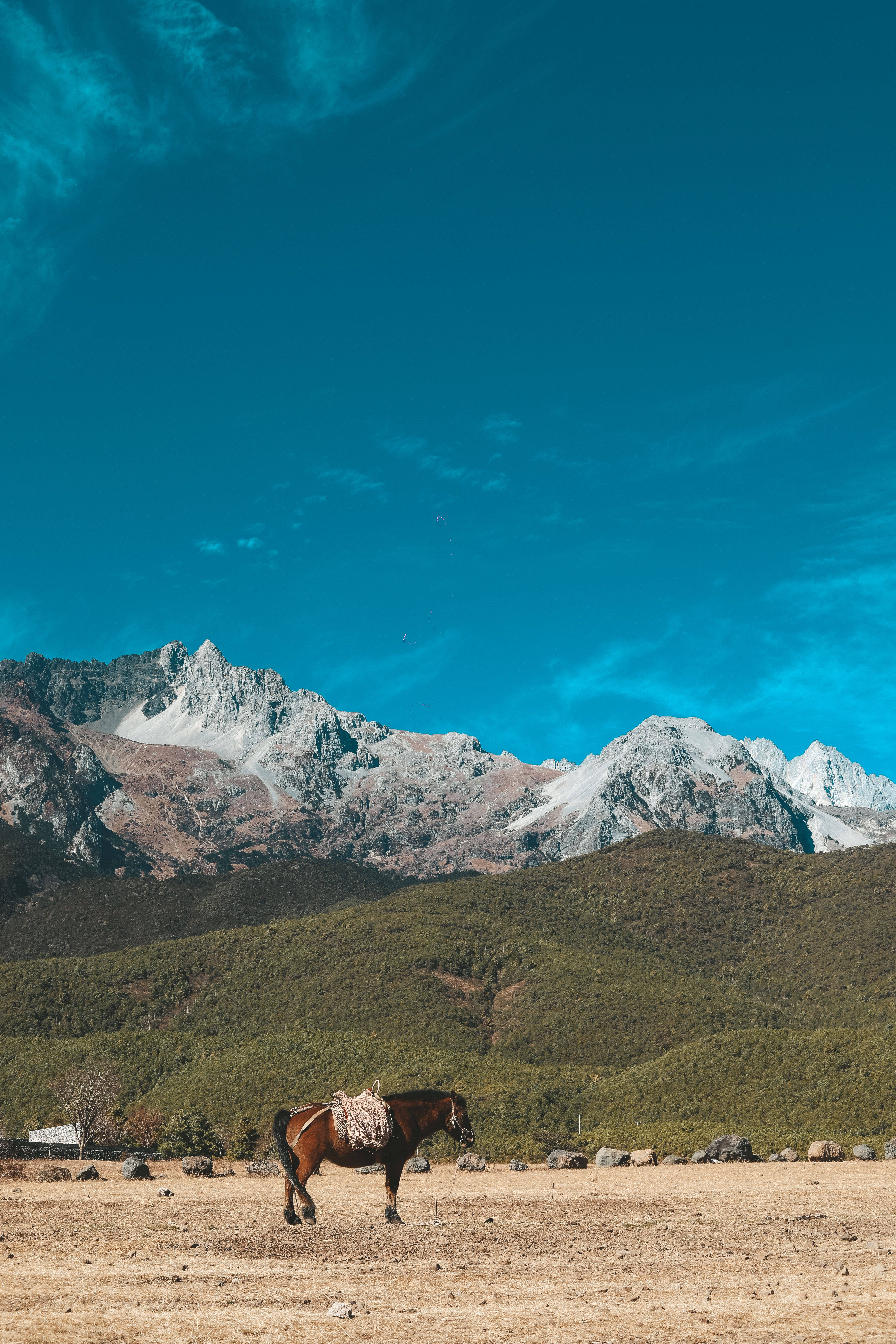 最靠近|最靠近玉龙雪山的村落，丽江的免费景点，《老闺蜜》大结局取景地