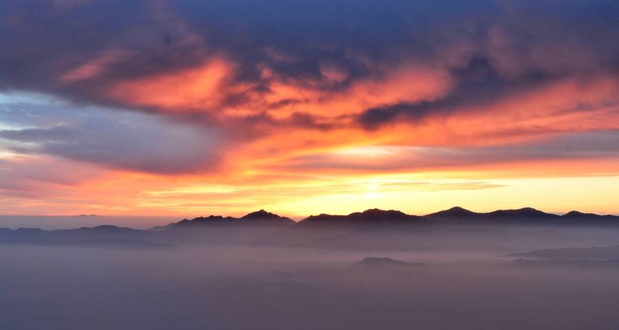 今年家电市场最大的惊喜现身了-家电圈官网