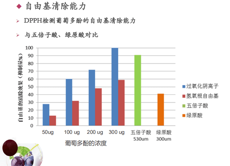 植物薇薇四季——原花青素引领抗衰新风向