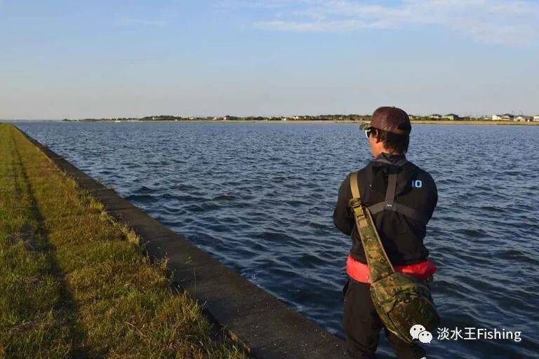 路亚 技能丨琵琶湖当红导钓使用巻物挑战霞ヶ浦水系 下 永野总一朗 鲈鱼 区域 常陆