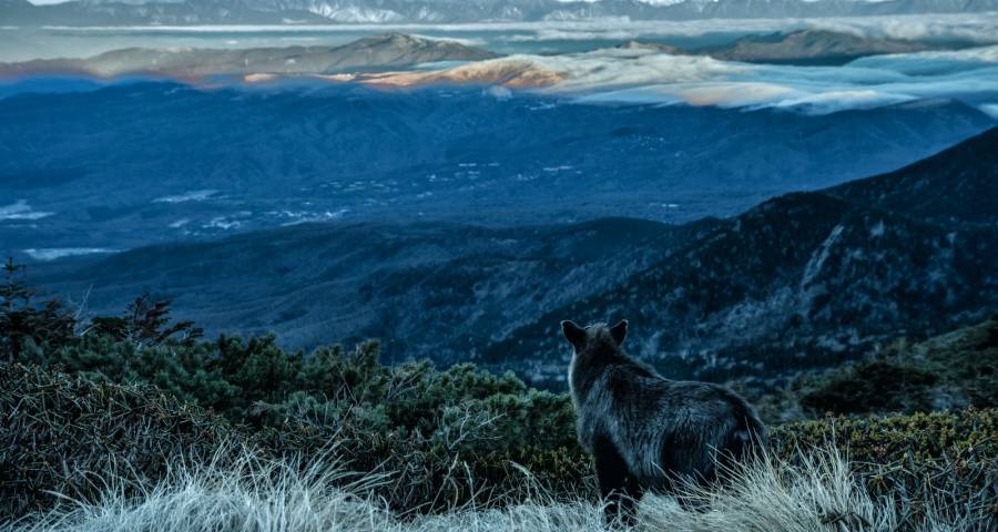 家电业零售为王还要掌握“三把刷子”-家电圈官网