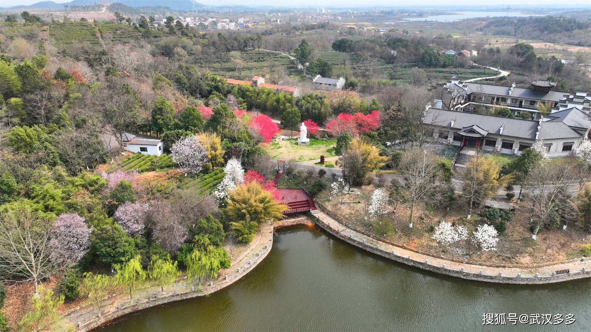 又到一年一度赏花季花乡茶谷百花齐放赏花门票只要十元