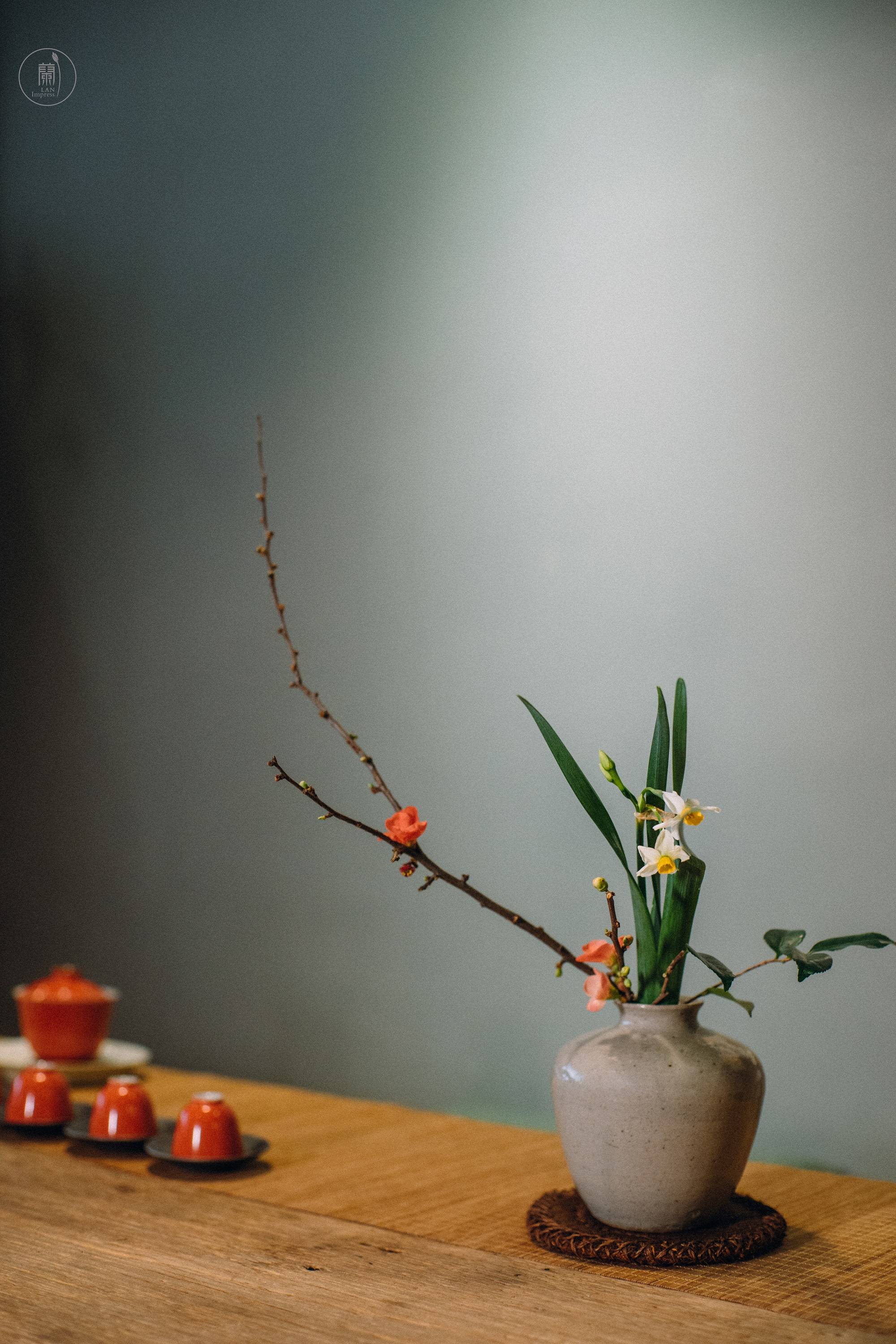 花道老师兰晓用植物诠释茶空间美学茶席花