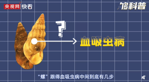 钉螺会传播血吸虫病不可生吃