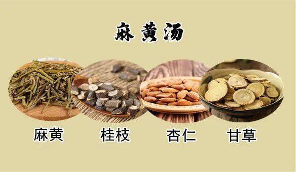 详解风寒解表剂:麻黄汤_桂枝_平喘_主治