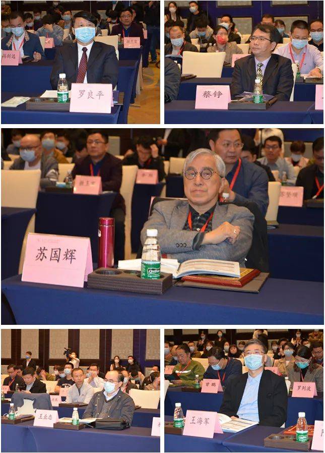 中国委员会副主任委员陈陆馗教授,广东省医学教育协会会长罗良平教授