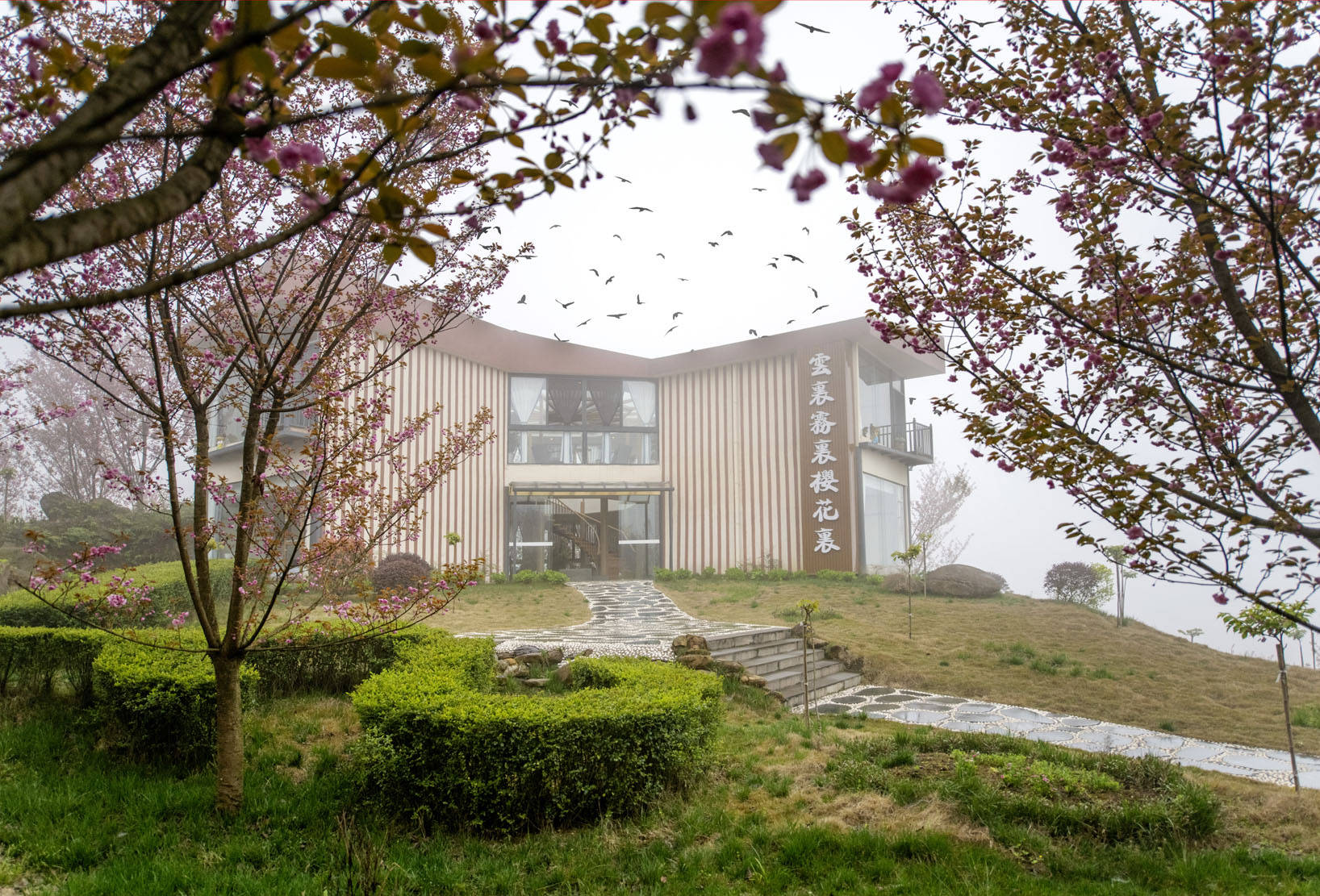 四川赵公山温馨如家的云里雾里樱花里民宿