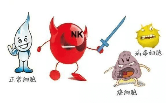 中鹰集团|守护健康,提高免疫力的秘密在这里!_细胞_森林_林业