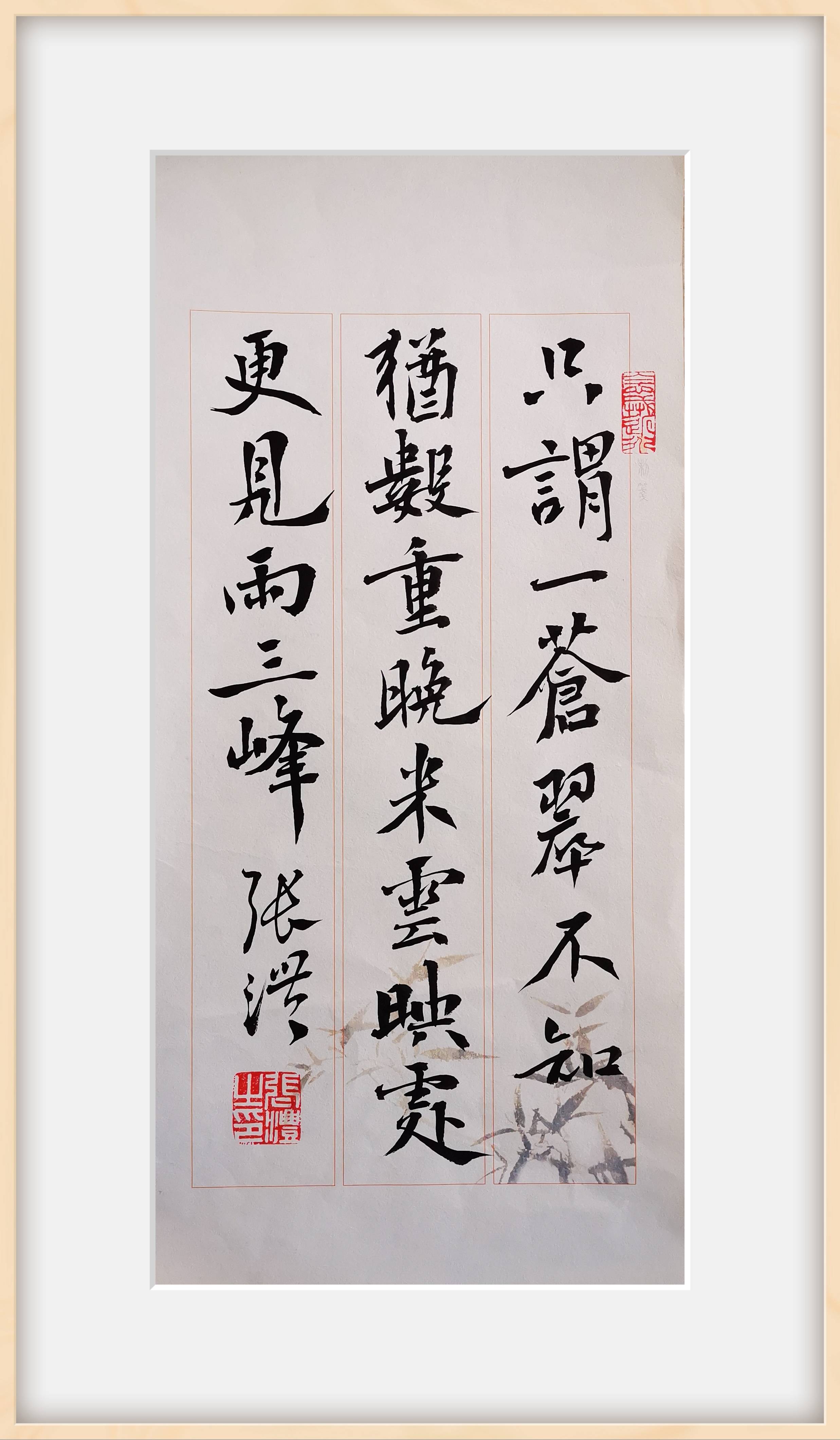 中国书法家协会会员张磊书法鉴赏