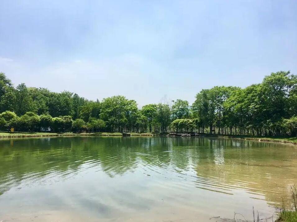 南京聚宝山公园_休闲_森林_体育