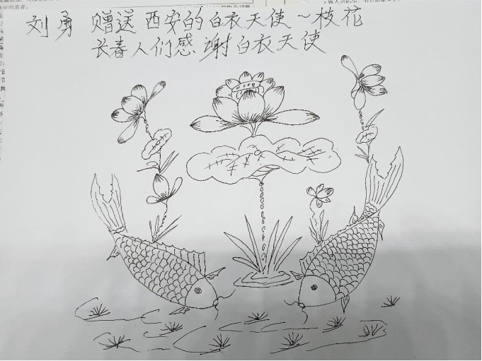 玄武湖怎么画图片