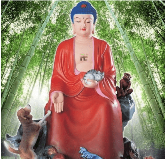 错误放生没有功德，反有罪过