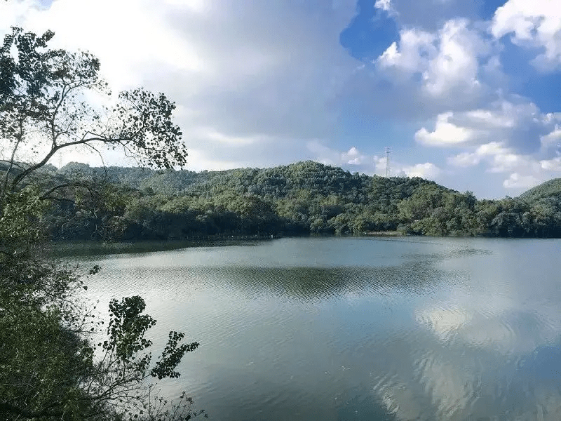 五桂山鎮素來以環境優美,山清水秀著稱,有