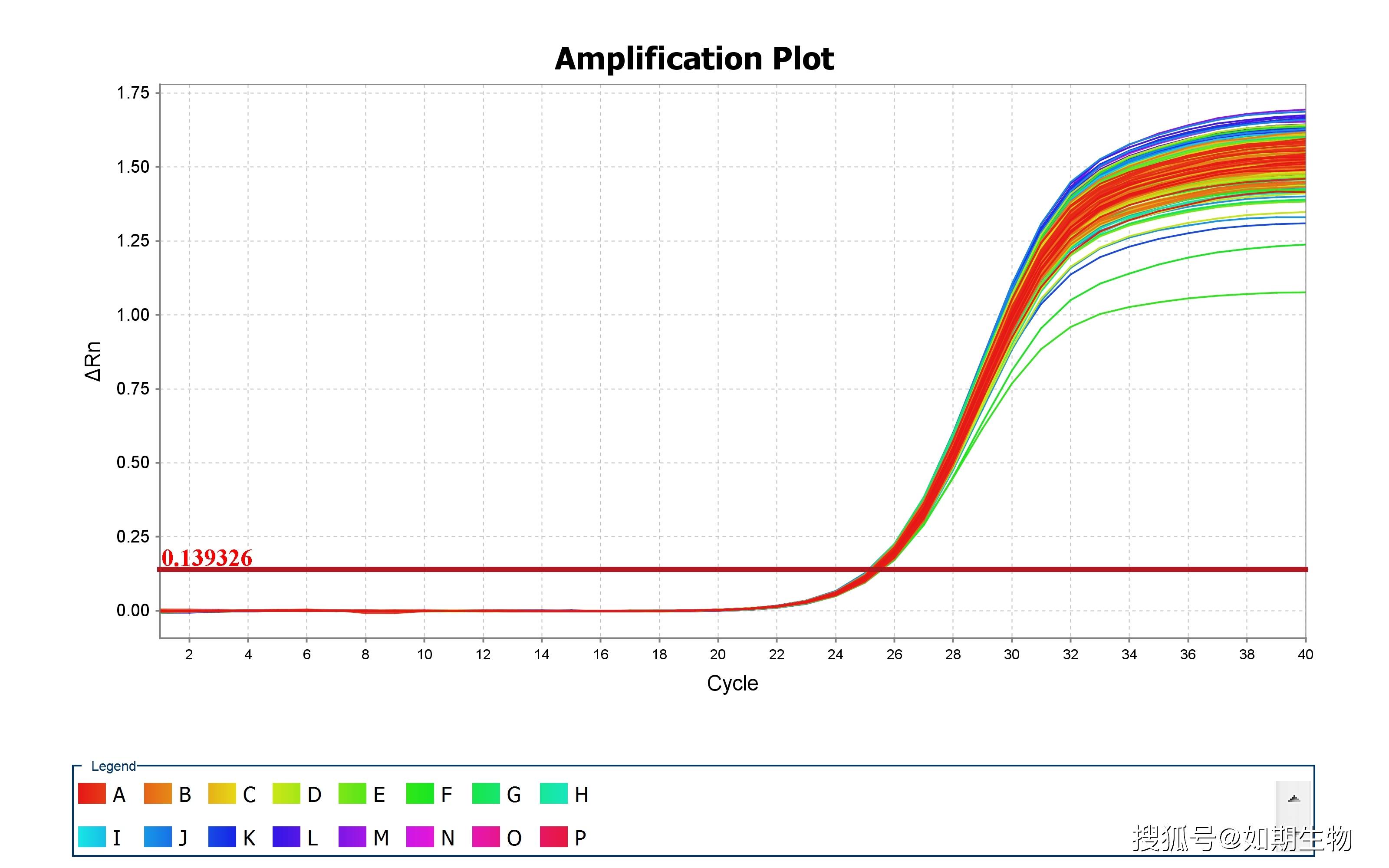 基因表达量检测qpcr