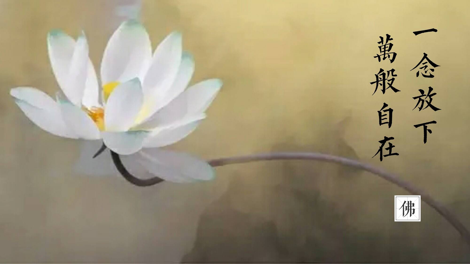 让你悟透人生的佛语禅心