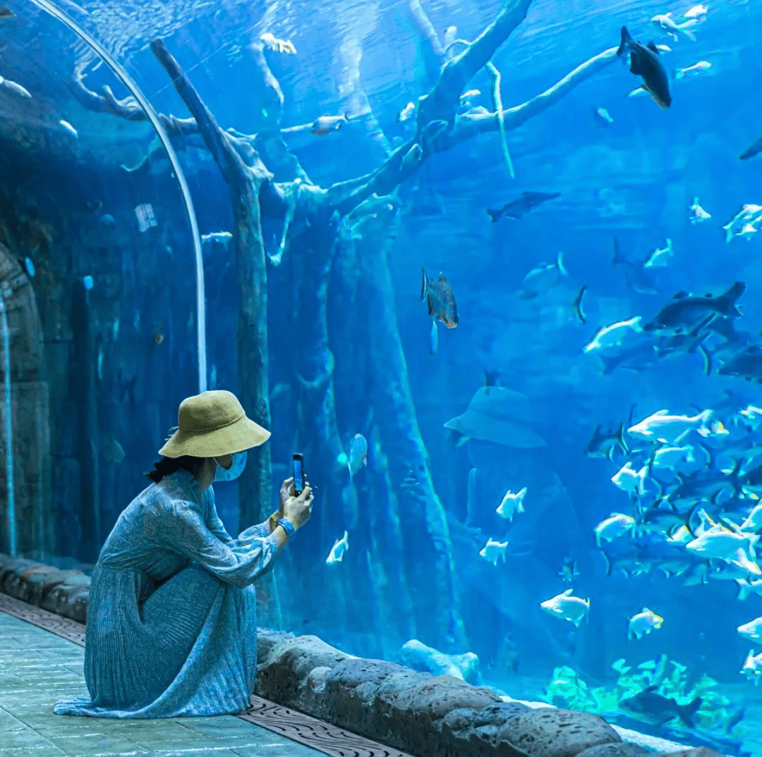 动物狂欢节水族馆图片