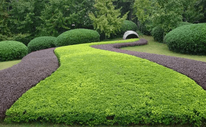 绿化工证哪里考怎么考怎么报名报考条件有哪些报名入口