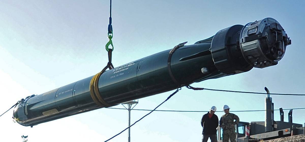 鱼雷_舰艇_作战