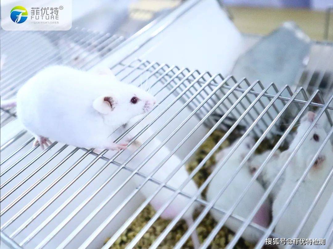 世界實驗動物日菲優特生物實驗平臺致敬實驗動物