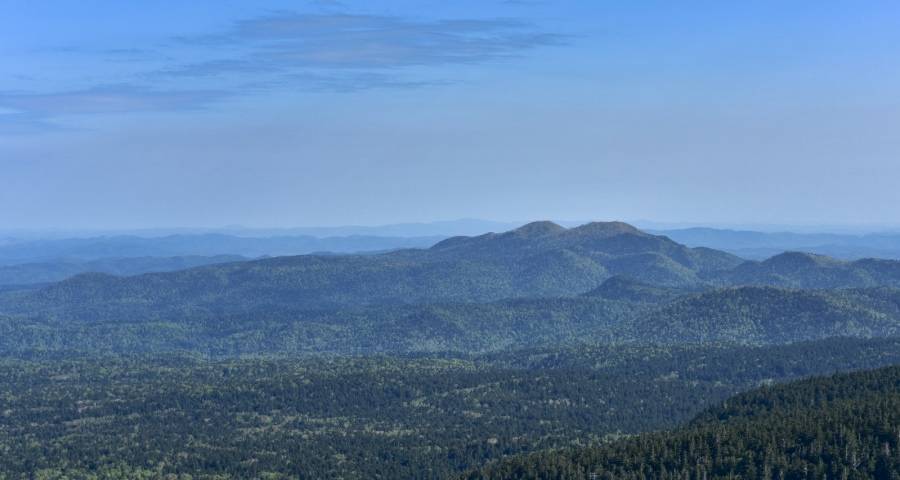 家电企业抢抓新赛道，格力华为方太长虹创维九阳惠而浦美大寻拐点-家电圈官网