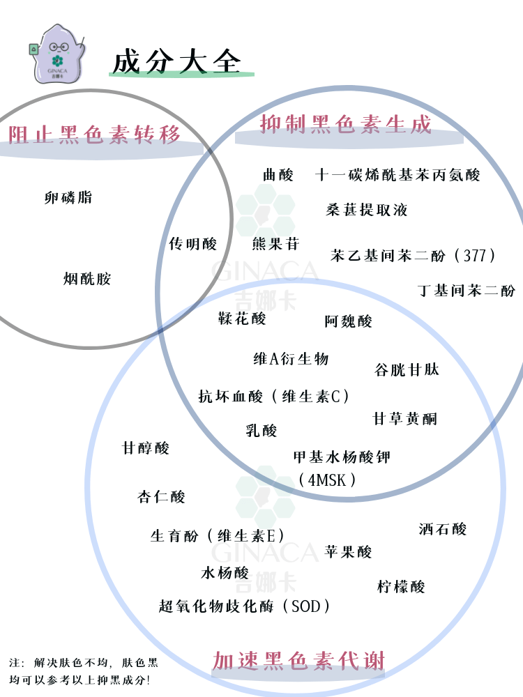 皮肤美白最全攻略