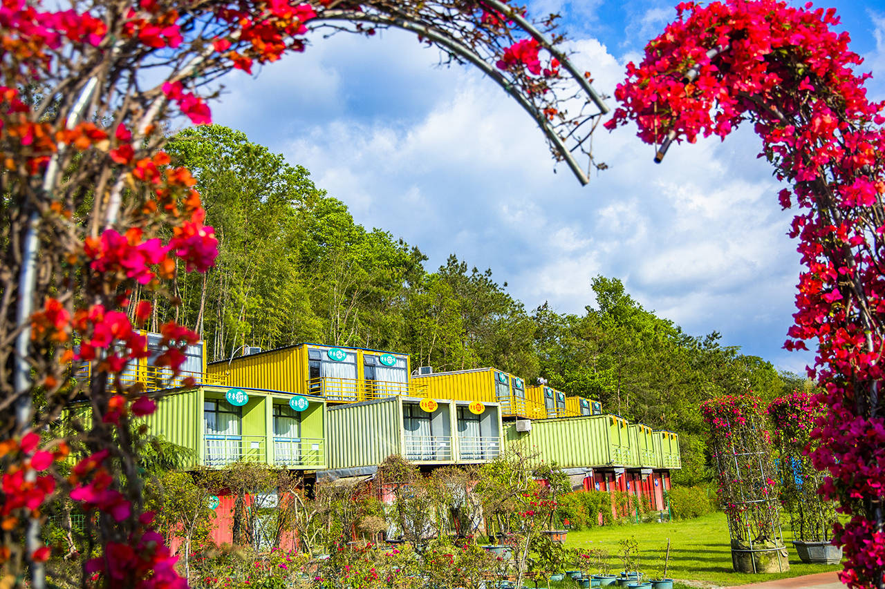原创五一自驾湖北英山四季花海赏百花亲子游穿汉服免费游玩