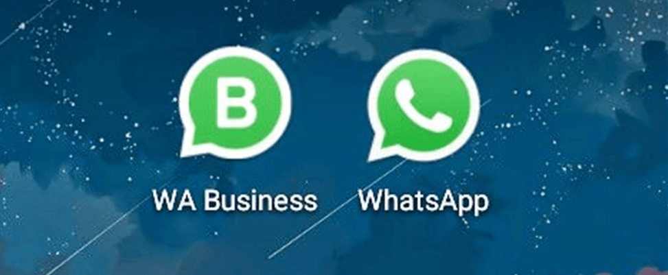 關於whatsappbusiness和whatsapp的一些區別