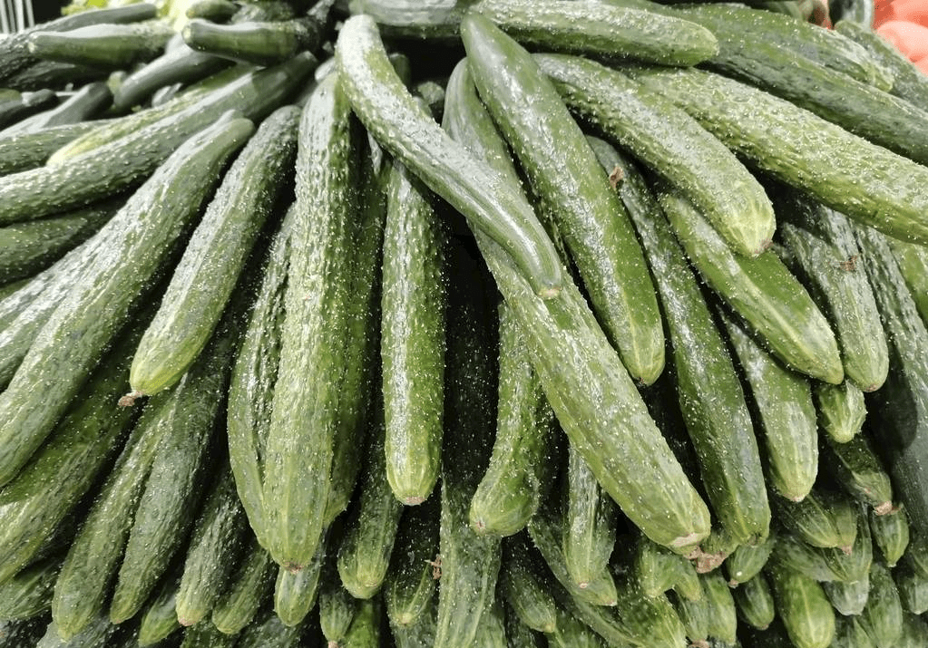 原创买黄瓜挑直黄瓜还是弯黄瓜多亏老菜农提醒再也不瞎买了