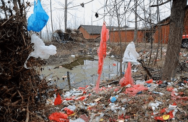 我国农村生活垃圾污染现状