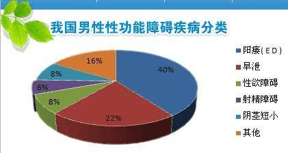 小细胞大作用 干细胞针对勃起功能障碍