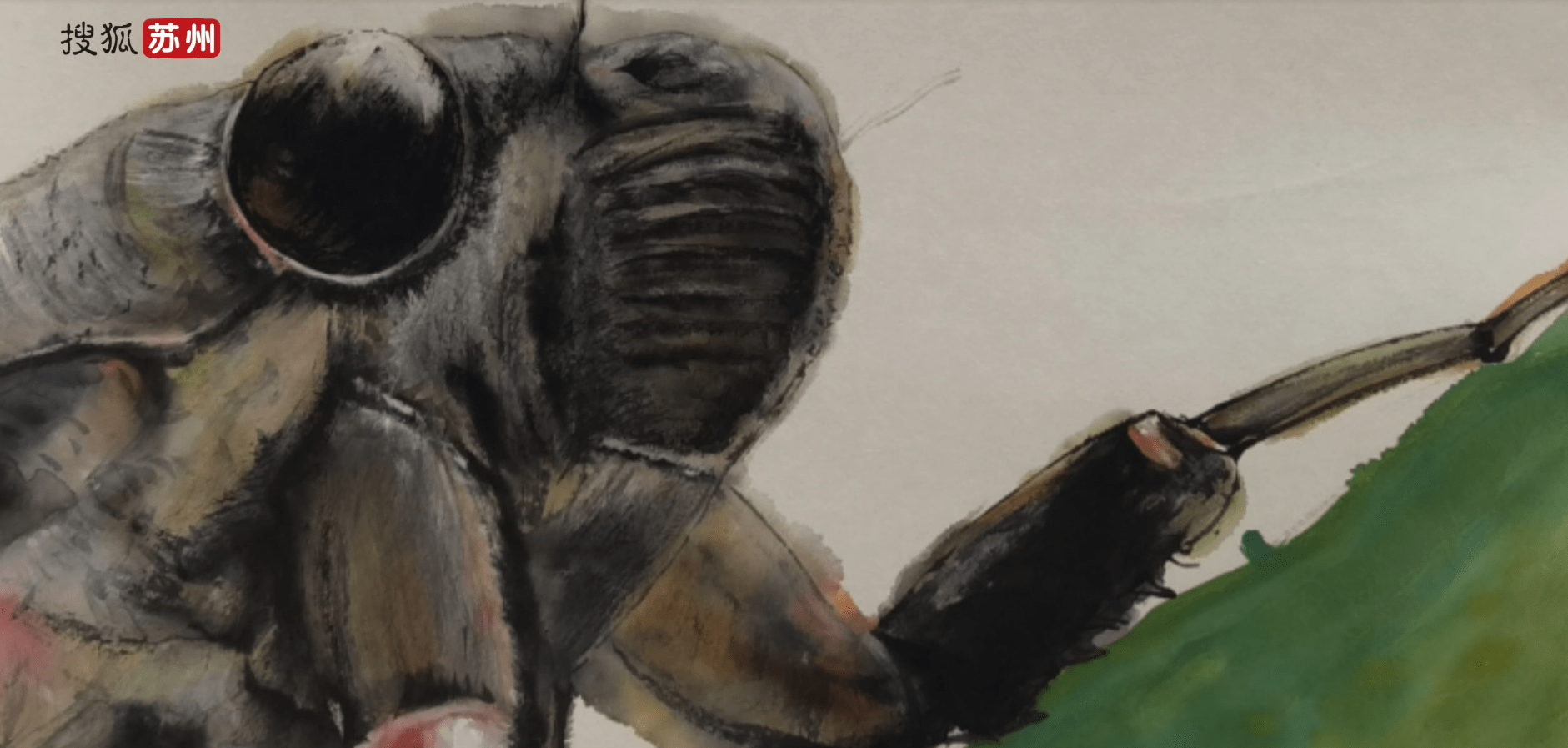走近"江南画蝉人"陈志伟:与蝉结缘,伏案数年,一朝放声_先生_文化_访谈