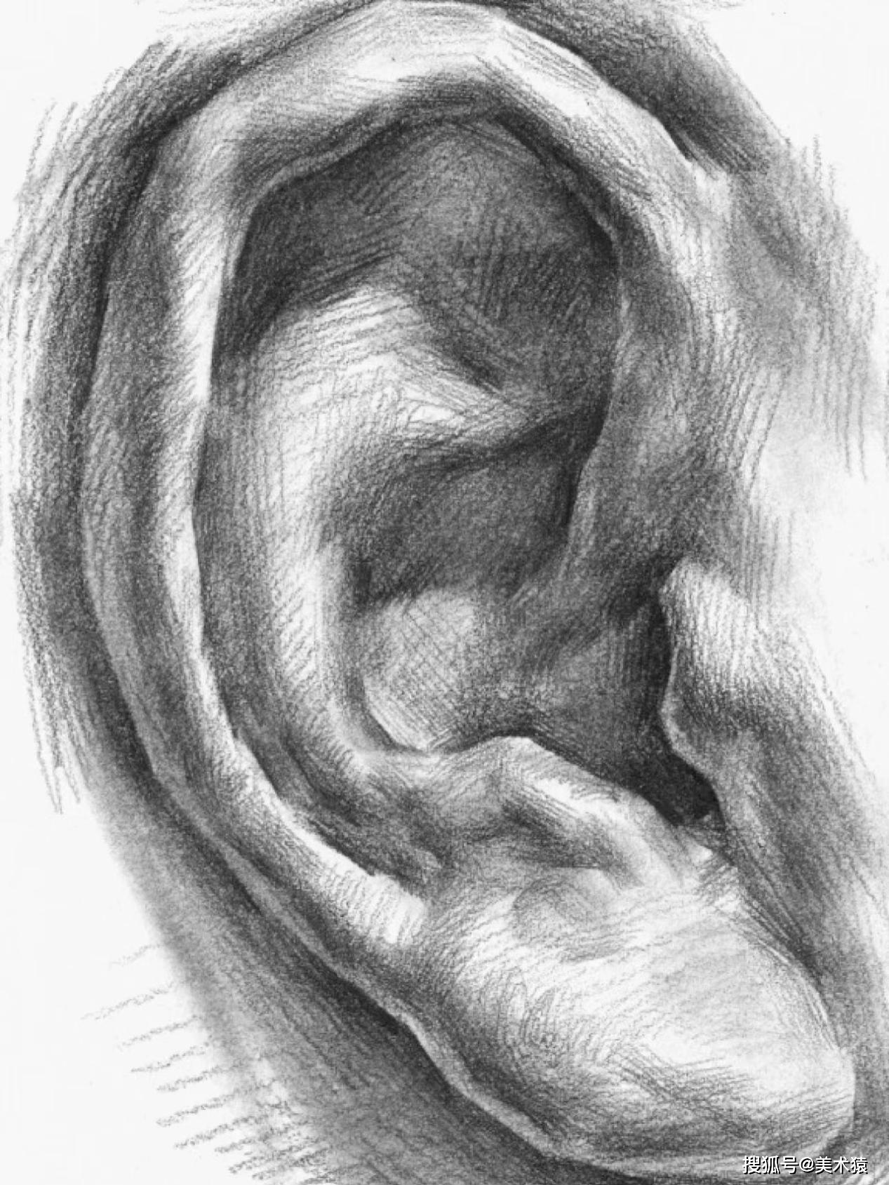 基础教学耳朵画法