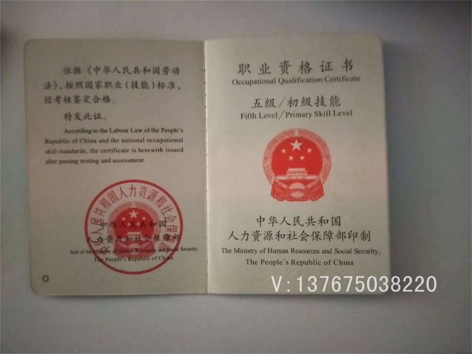 國職社會體育指導員證書有哪些指導項目,主要工作是哪些?_教練_運動_1