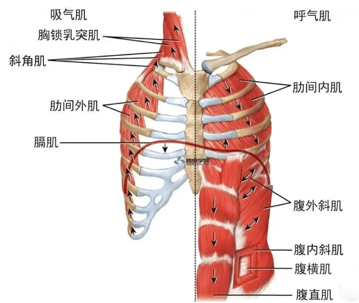 【儿童节】三甲脊柱科名医义诊活动