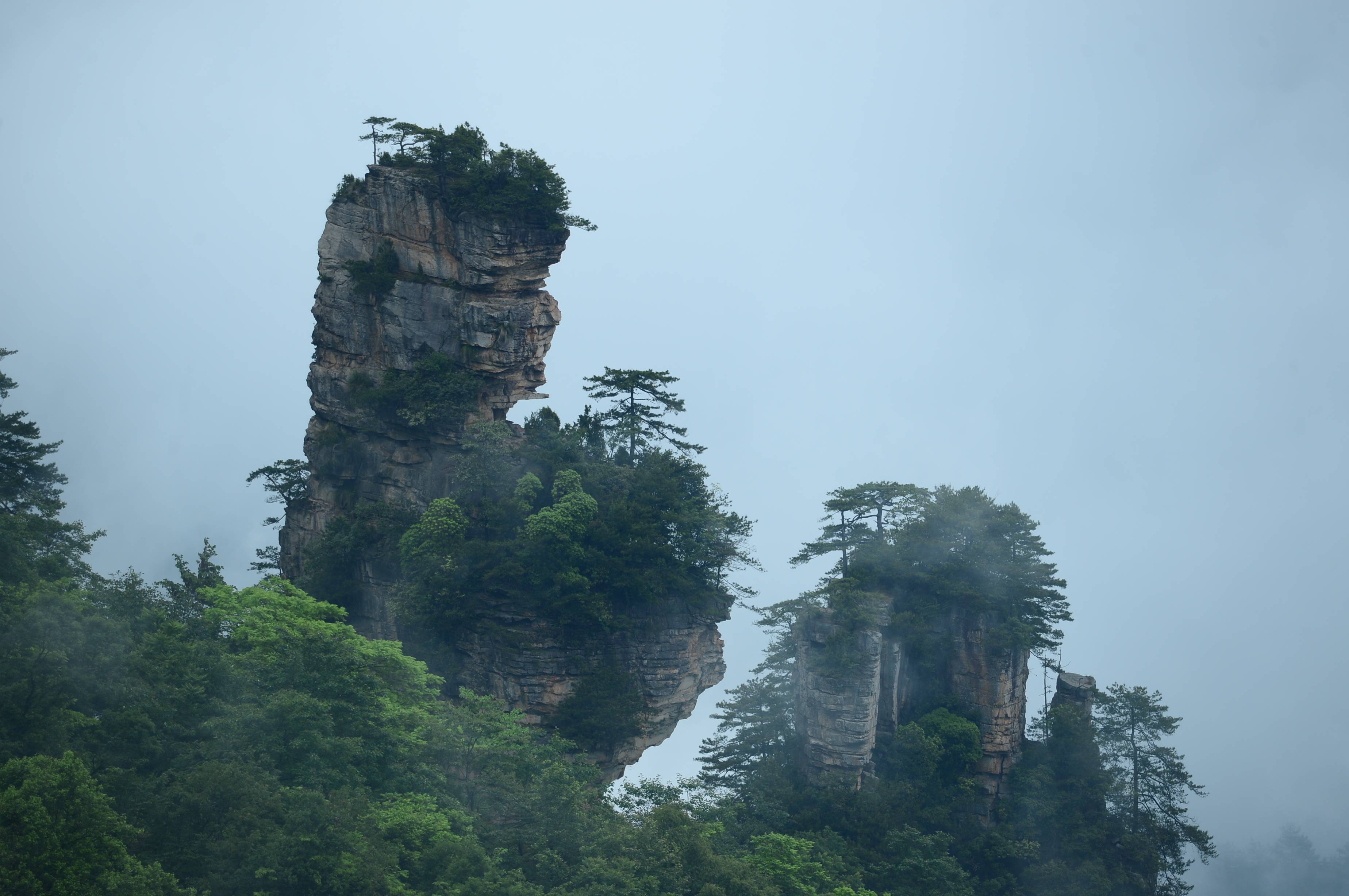 5月18日上午,湖南省张家界国家森林公园,雨后初停的天子山景区云雾