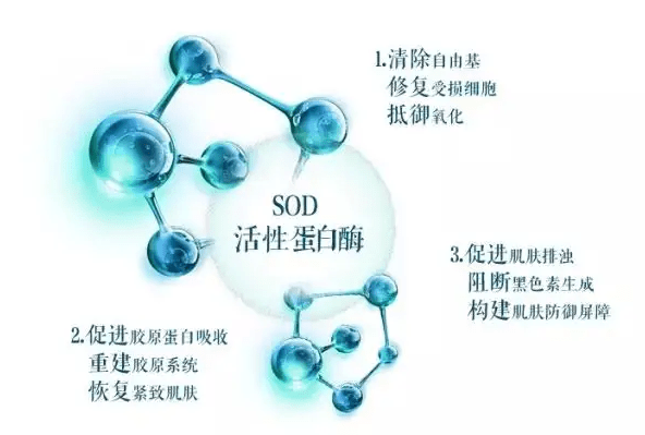 sod為什麼一定要選擇耐熱的中科sod活力酶