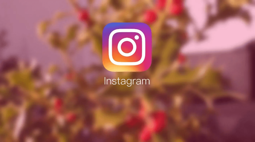 instagram营销全攻略，看这一篇就够了（附10个分析工具）_平台_操作_企业号