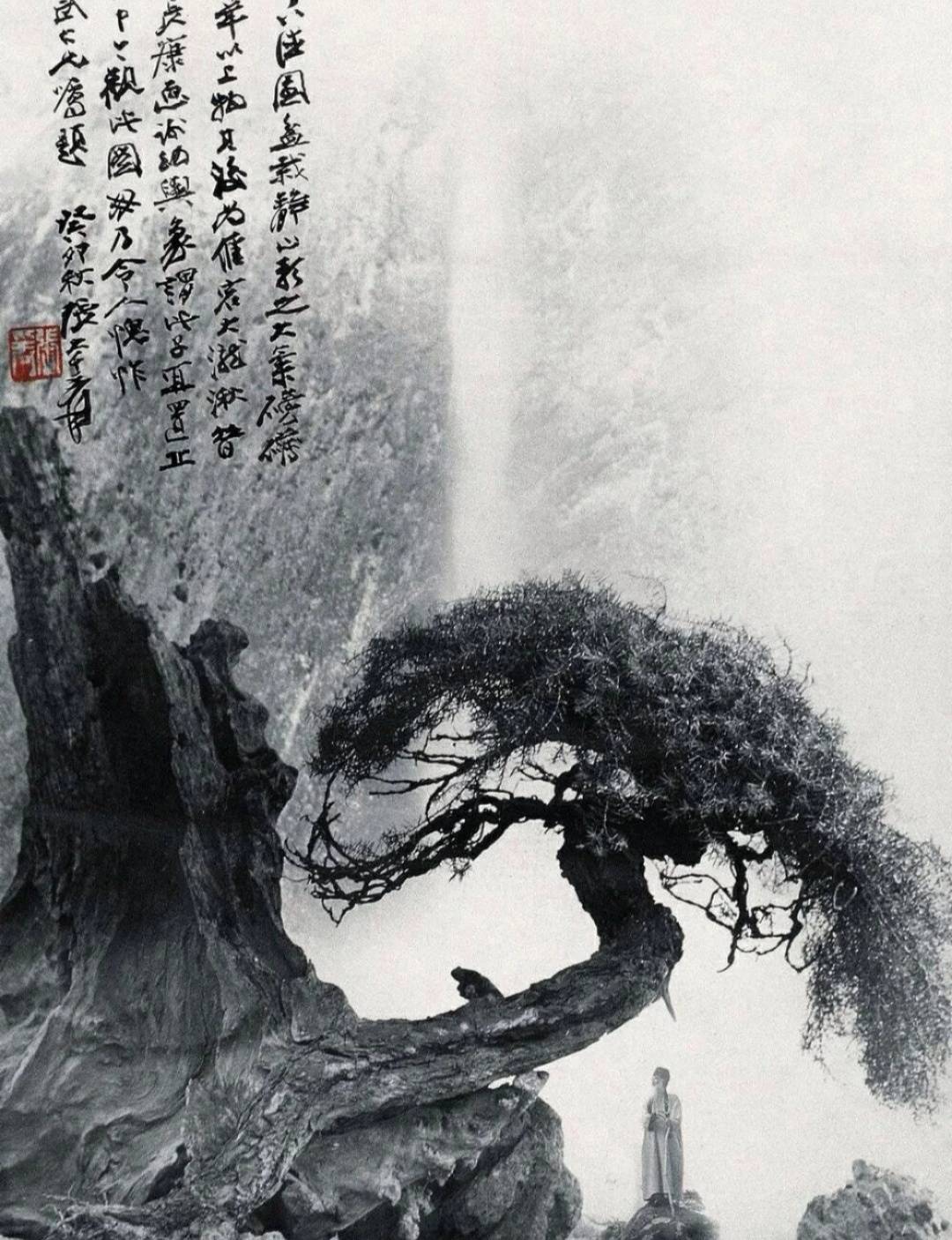 郎静山摄影欣赏676767